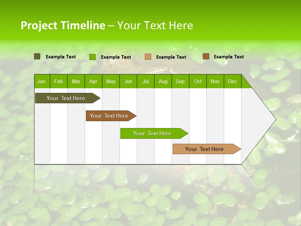 Common Frog (Rana Temporaria) 06 PowerPoint Template