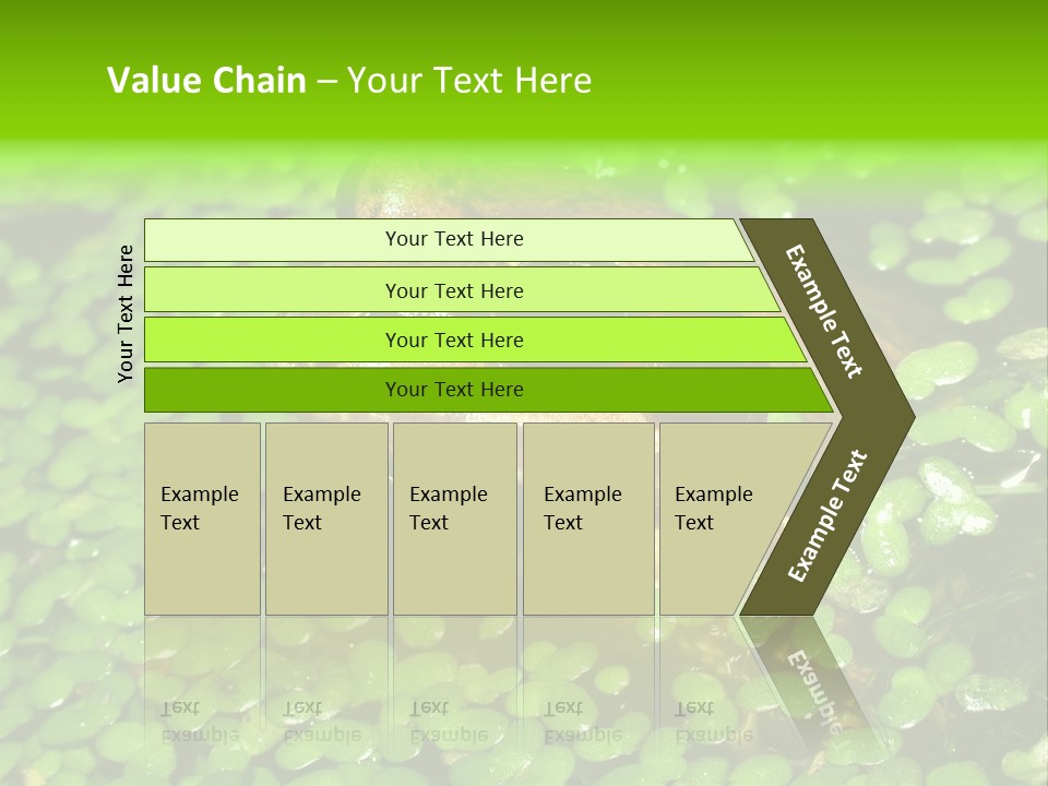 Common Frog (Rana Temporaria) 06 PowerPoint Template