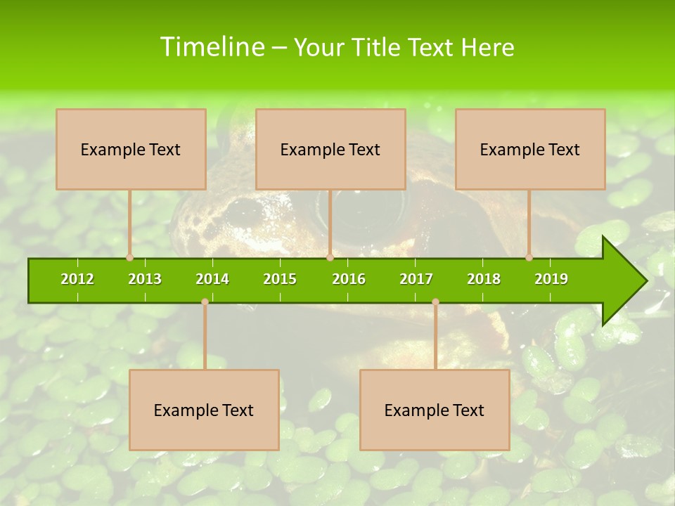 Common Frog (Rana Temporaria) 06 PowerPoint Template