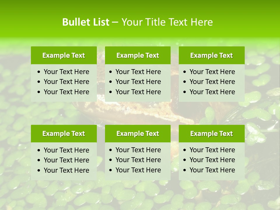 Common Frog (Rana Temporaria) 06 PowerPoint Template