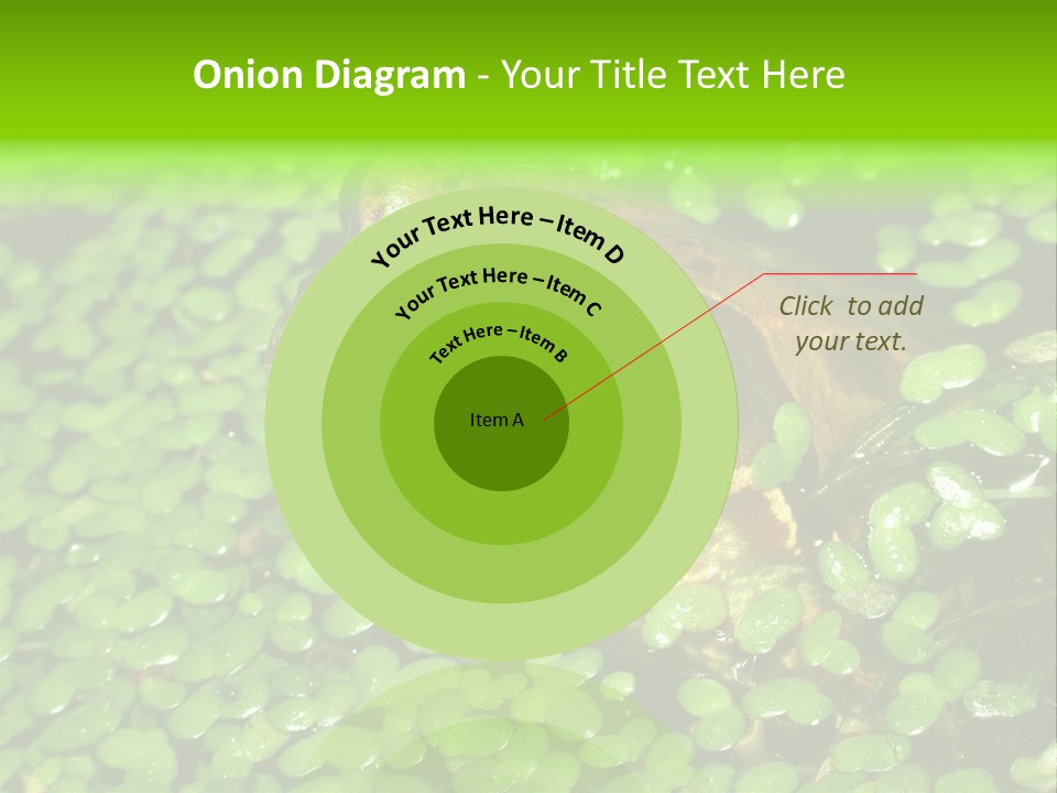 Common Frog (Rana Temporaria) 06 PowerPoint Template