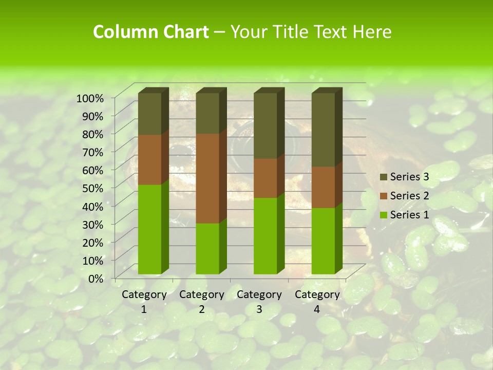 Common Frog (Rana Temporaria) 06 PowerPoint Template