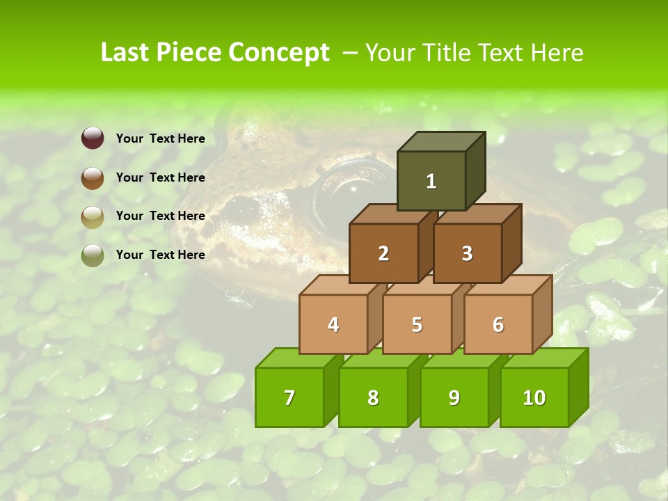 Common Frog (Rana Temporaria) 06 PowerPoint Template