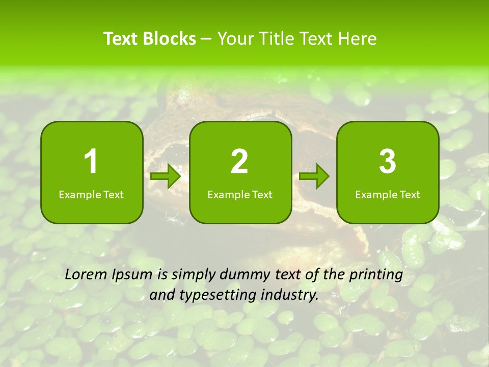 Common Frog (Rana Temporaria) 06 PowerPoint Template