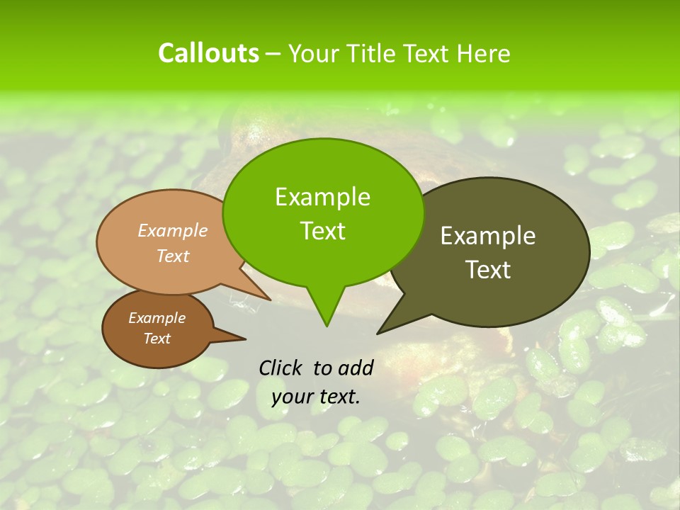 Common Frog (Rana Temporaria) 06 PowerPoint Template