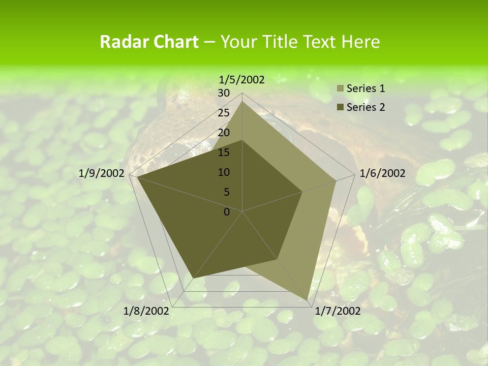 Common Frog (Rana Temporaria) 06 PowerPoint Template