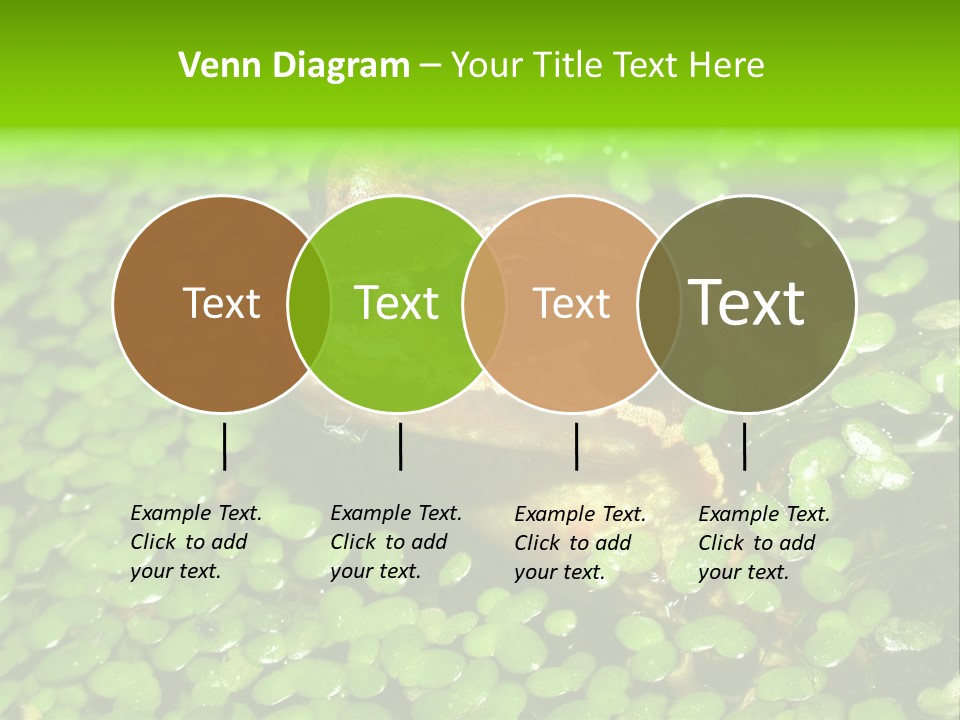 Common Frog (Rana Temporaria) 06 PowerPoint Template
