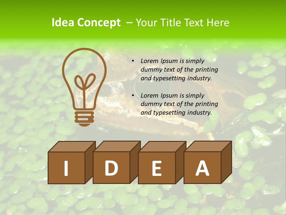 Common Frog (Rana Temporaria) 06 PowerPoint Template