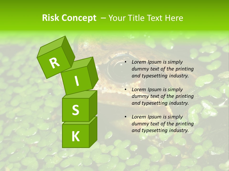 Common Frog (Rana Temporaria) 06 PowerPoint Template