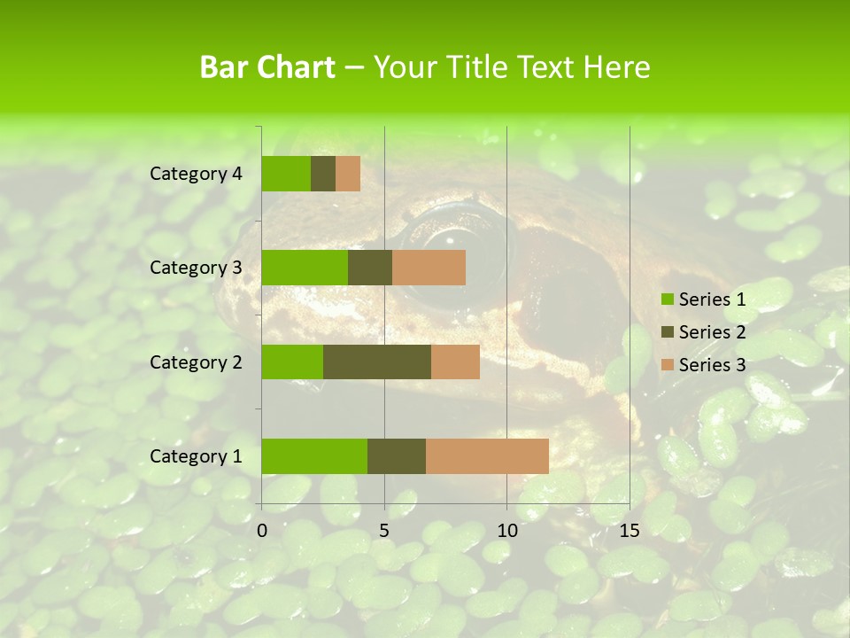 Common Frog (Rana Temporaria) 06 PowerPoint Template