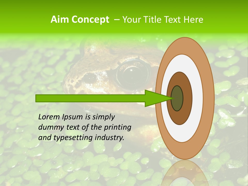 Common Frog (Rana Temporaria) 06 PowerPoint Template