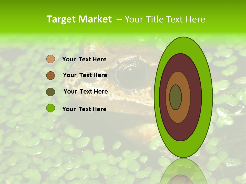 Common Frog (Rana Temporaria) 06 PowerPoint Template