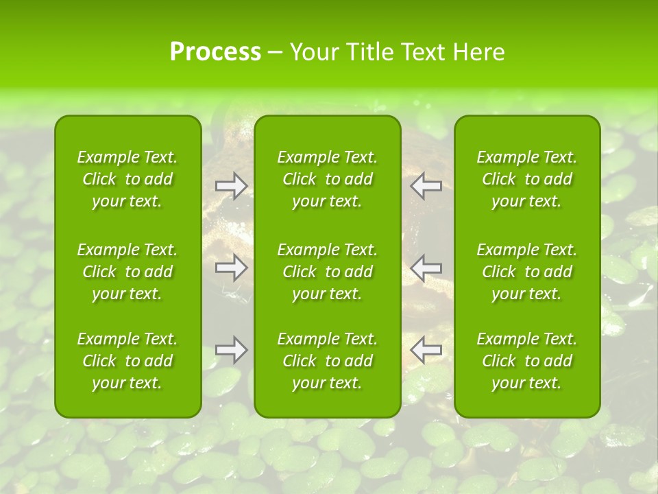 Common Frog (Rana Temporaria) 06 PowerPoint Template