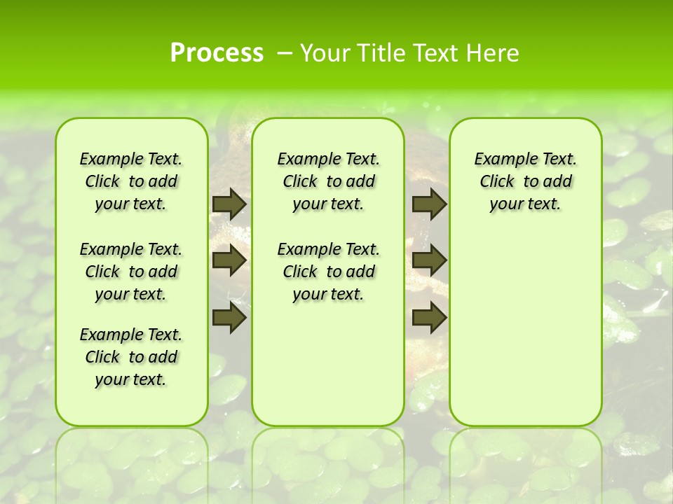Common Frog (Rana Temporaria) 06 PowerPoint Template