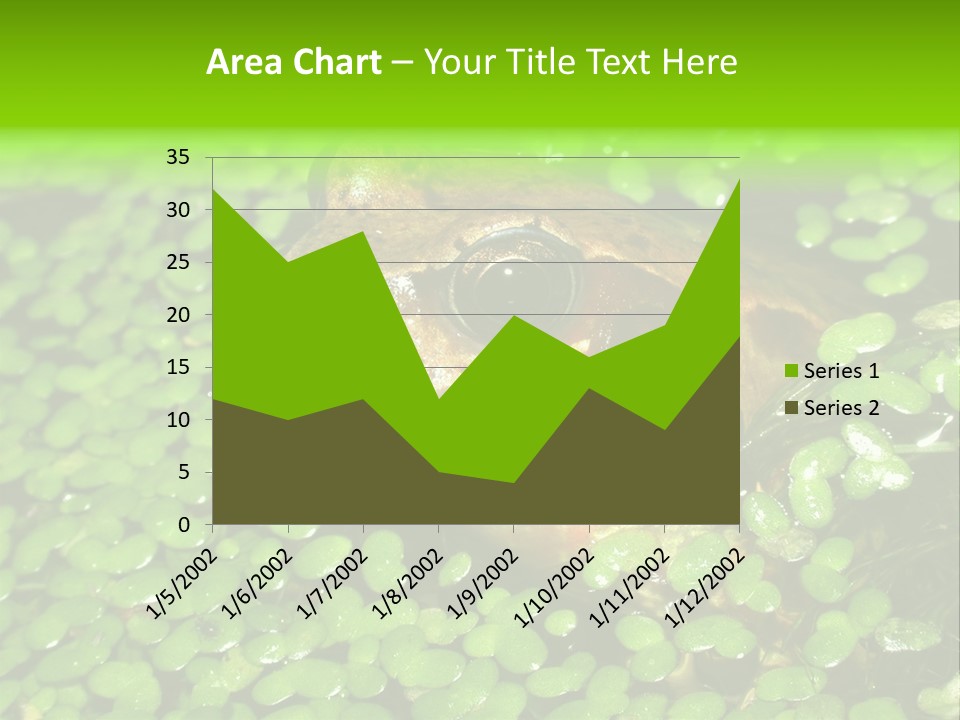 Common Frog (Rana Temporaria) 06 PowerPoint Template