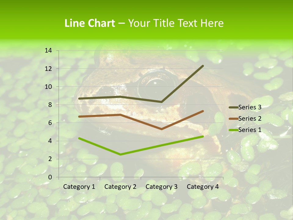 Common Frog (Rana Temporaria) 06 PowerPoint Template