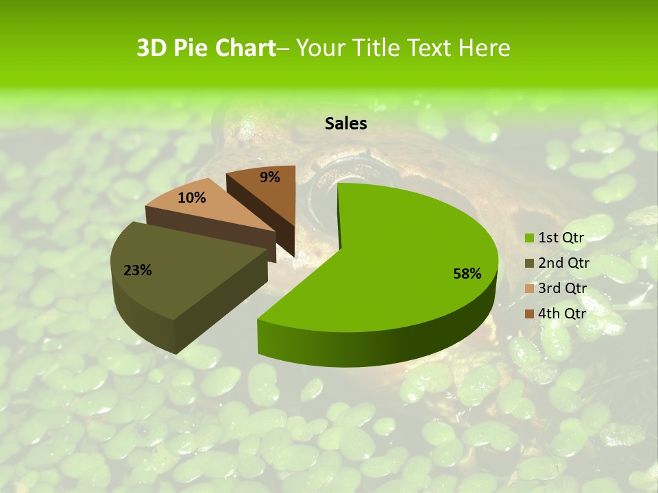 Common Frog (Rana Temporaria) 06 PowerPoint Template