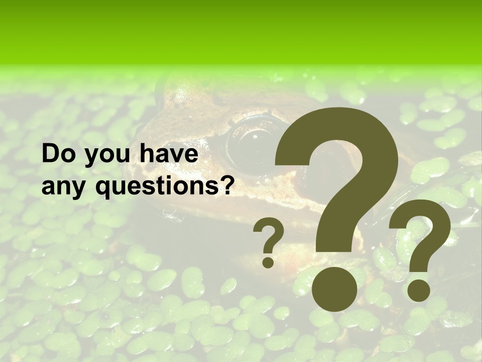 Common Frog (Rana Temporaria) 06 PowerPoint Template