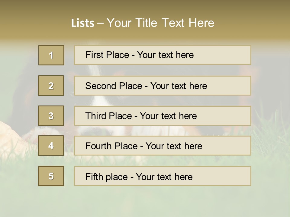 A Trustful Friend. Portrait Of Puppy Bernese Mountain Dog PowerPoint Template