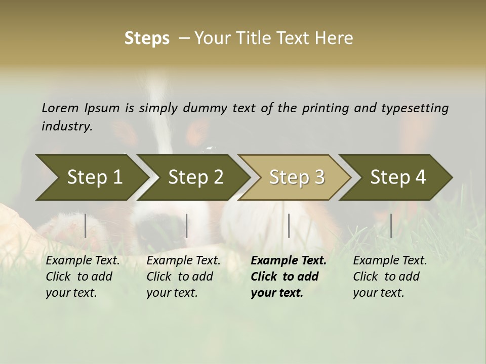 A Trustful Friend. Portrait Of Puppy Bernese Mountain Dog PowerPoint Template