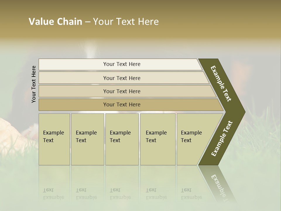 A Trustful Friend. Portrait Of Puppy Bernese Mountain Dog PowerPoint Template