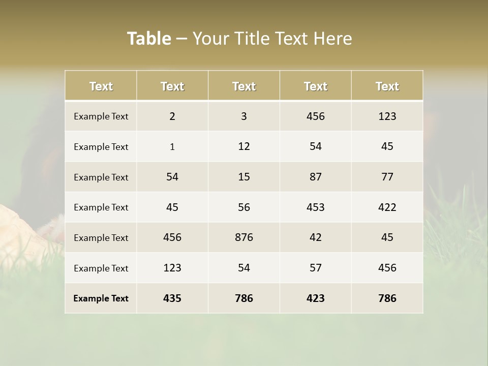 A Trustful Friend. Portrait Of Puppy Bernese Mountain Dog PowerPoint Template