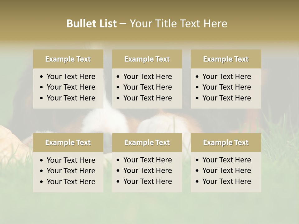 A Trustful Friend. Portrait Of Puppy Bernese Mountain Dog PowerPoint Template