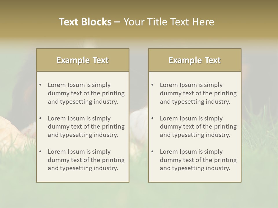 A Trustful Friend. Portrait Of Puppy Bernese Mountain Dog PowerPoint Template