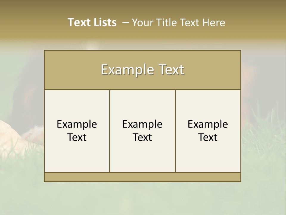 A Trustful Friend. Portrait Of Puppy Bernese Mountain Dog PowerPoint Template