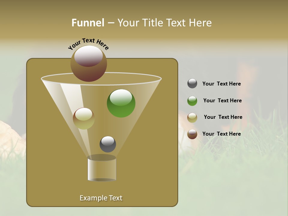 A Trustful Friend. Portrait Of Puppy Bernese Mountain Dog PowerPoint Template