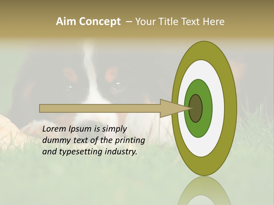 A Trustful Friend. Portrait Of Puppy Bernese Mountain Dog PowerPoint Template