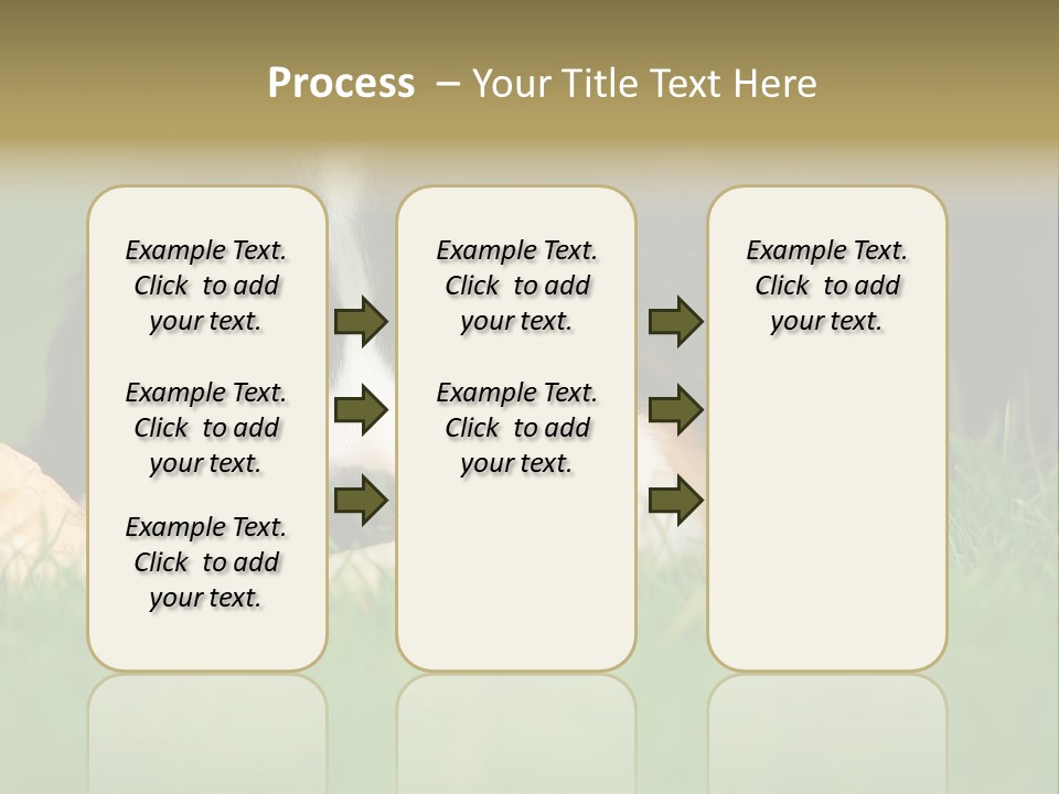 A Trustful Friend. Portrait Of Puppy Bernese Mountain Dog PowerPoint Template