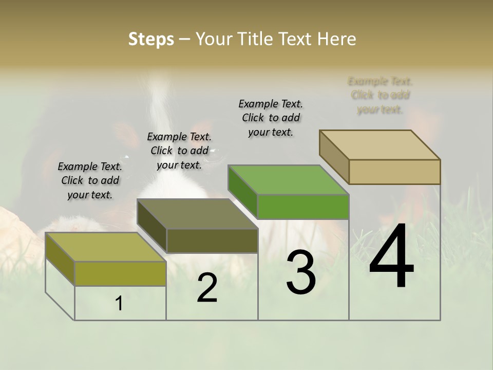 A Trustful Friend. Portrait Of Puppy Bernese Mountain Dog PowerPoint Template