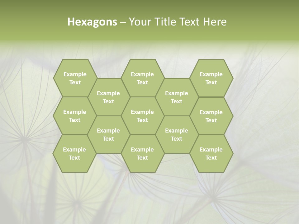 Close-Up Of Dandelion Seed With An Abstract Touch PowerPoint Template