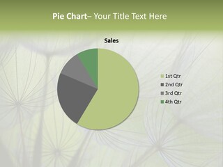 Close-Up Of Dandelion Seed With An Abstract Touch PowerPoint Template