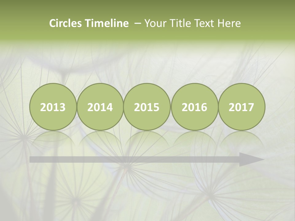 Close-Up Of Dandelion Seed With An Abstract Touch PowerPoint Template