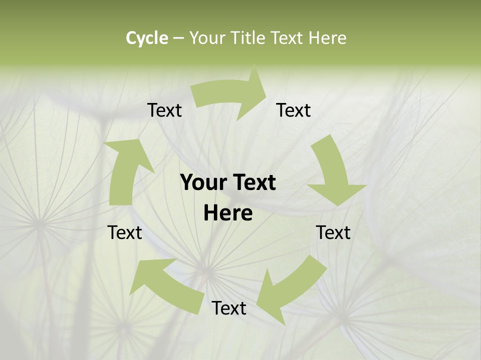 Close-Up Of Dandelion Seed With An Abstract Touch PowerPoint Template