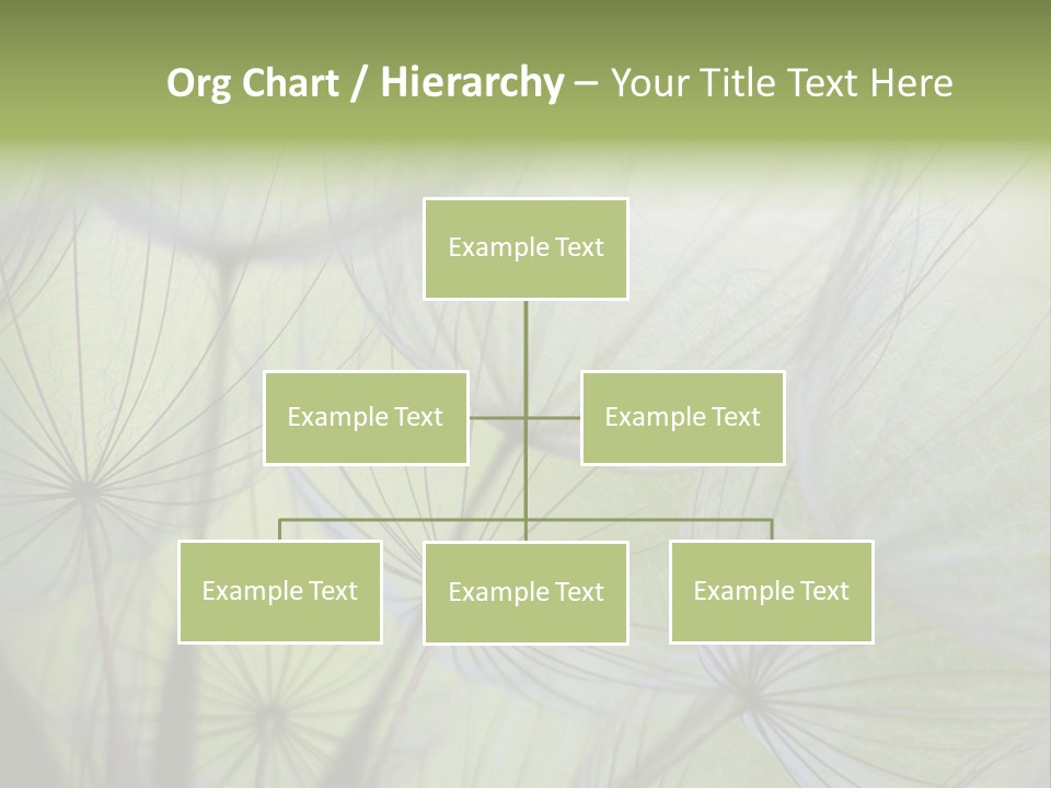 Close-Up Of Dandelion Seed With An Abstract Touch PowerPoint Template