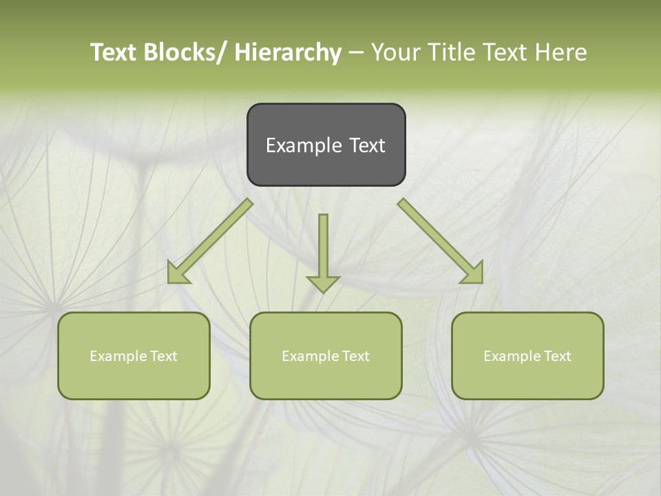 Close-Up Of Dandelion Seed With An Abstract Touch PowerPoint Template