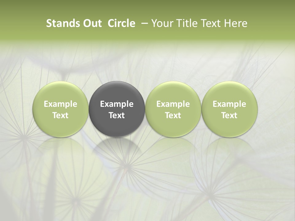 Close-Up Of Dandelion Seed With An Abstract Touch PowerPoint Template