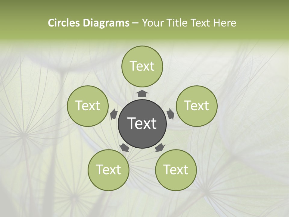 Close-Up Of Dandelion Seed With An Abstract Touch PowerPoint Template