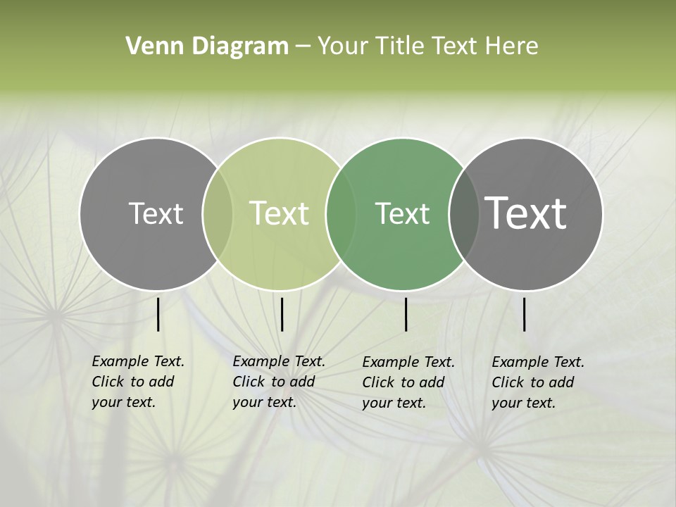 Close-Up Of Dandelion Seed With An Abstract Touch PowerPoint Template