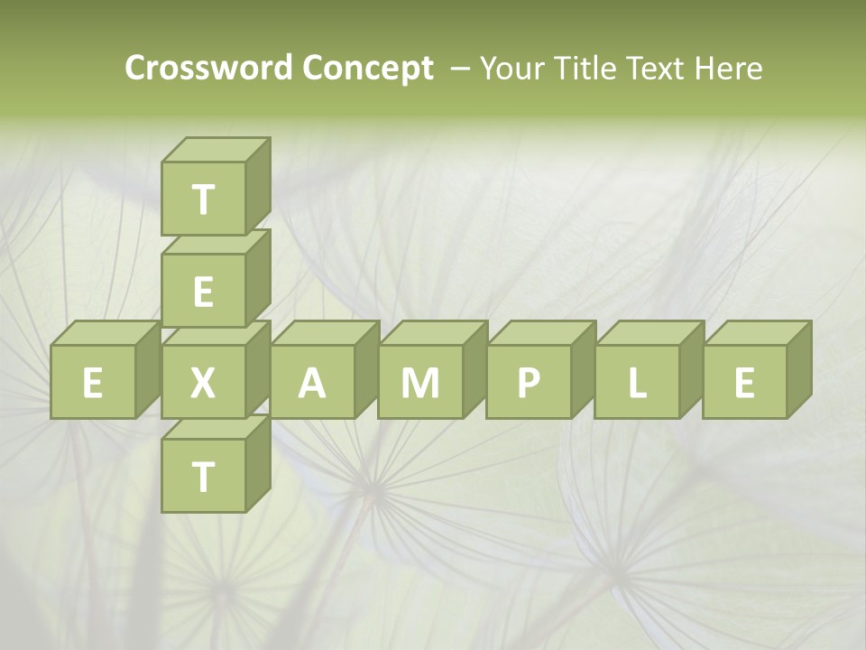 Close-Up Of Dandelion Seed With An Abstract Touch PowerPoint Template