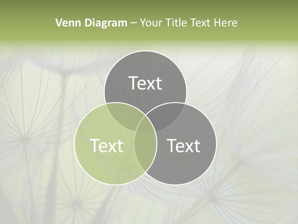 Close-Up Of Dandelion Seed With An Abstract Touch PowerPoint Template