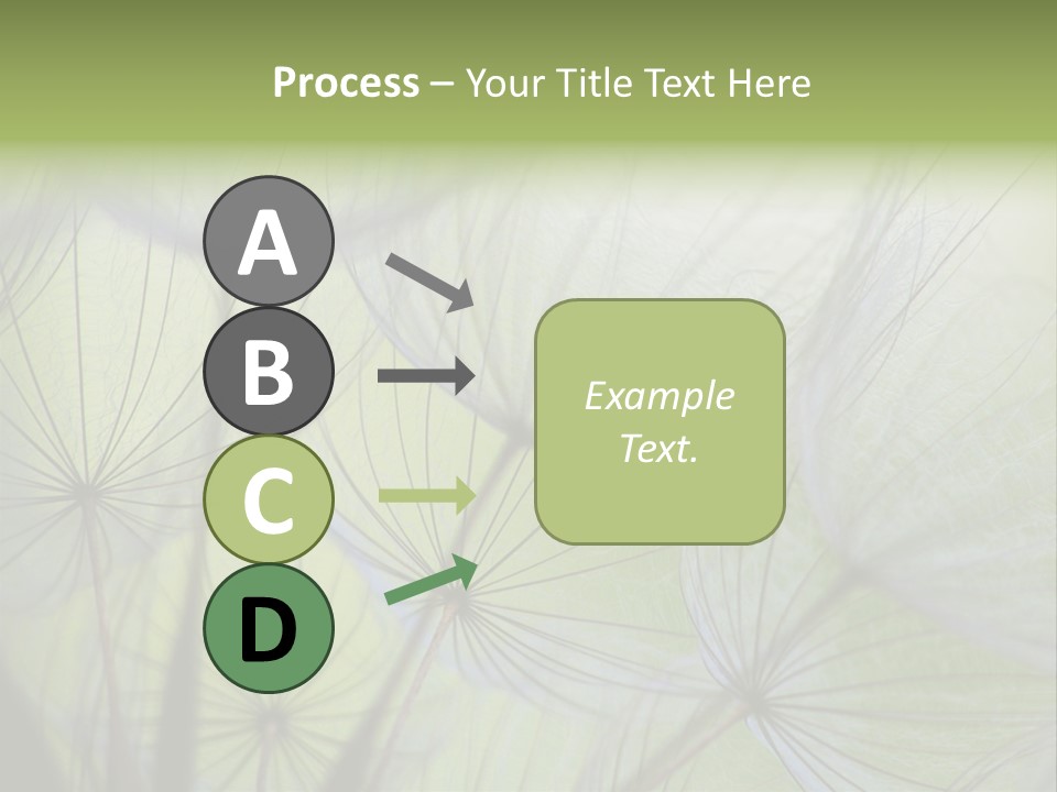 Close-Up Of Dandelion Seed With An Abstract Touch PowerPoint Template