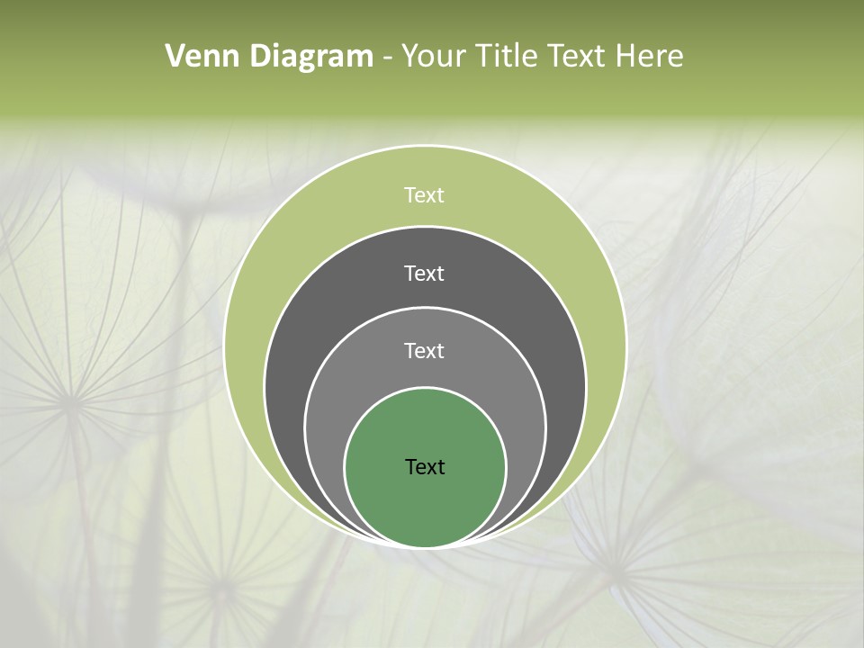 Close-Up Of Dandelion Seed With An Abstract Touch PowerPoint Template