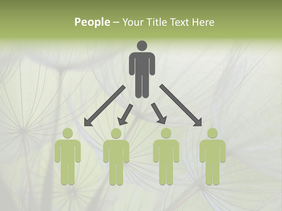 Close-Up Of Dandelion Seed With An Abstract Touch PowerPoint Template