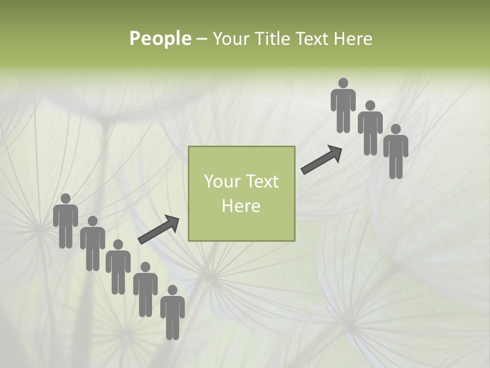 Close-Up Of Dandelion Seed With An Abstract Touch PowerPoint Template