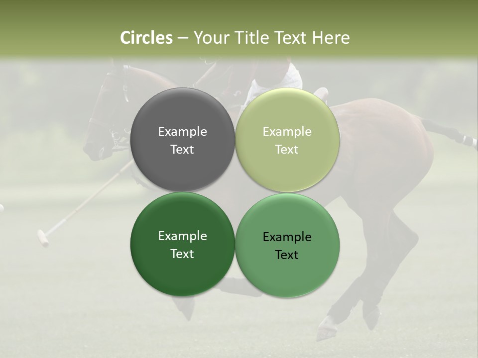 Amazing Flower PowerPoint Template