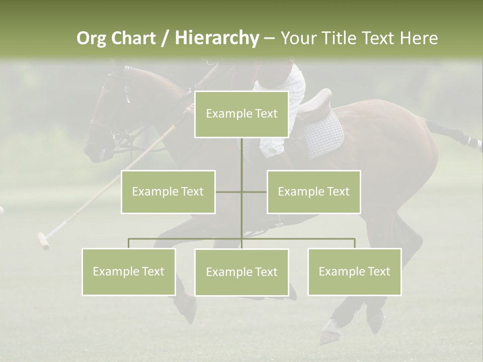 Amazing Flower PowerPoint Template
